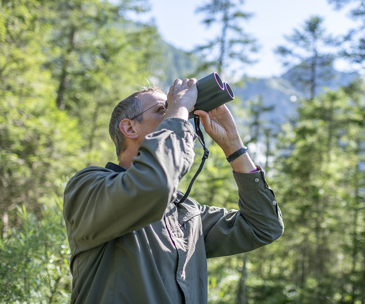 Ein Feldmitarbeiter schaut durch sein Fernglas auf der Suche nach Brutvögeln im Gebirgswald.